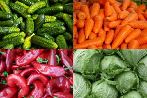 Uhorka, mrkva, paprika, kapusta - suroviny do výroby